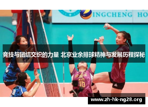 竞技与团结交织的力量 北京业余排球精神与发展历程探秘