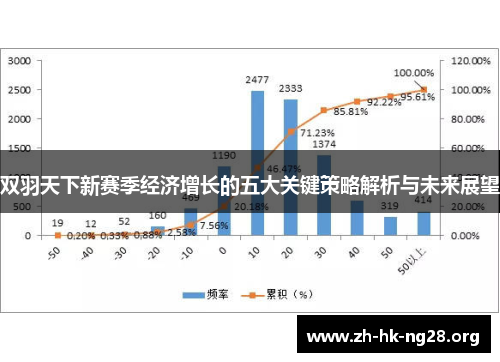 双羽天下新赛季经济增长的五大关键策略解析与未来展望
