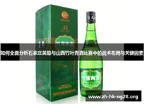 如何全面分析石家庄英励与山西竹叶青酒比赛中的战术布局与关键因素