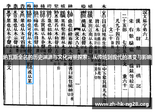 纳瓦斯全名的历史渊源与文化背景探索：从传统到现代的演变与影响