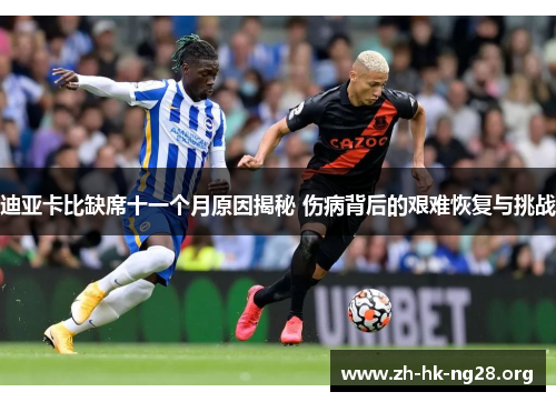 迪亚卡比缺席十一个月原因揭秘 伤病背后的艰难恢复与挑战