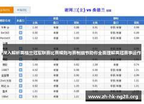 深入解析英格兰冠军联赛比赛规则与赛制细节助你全面理解英冠赛事运作
