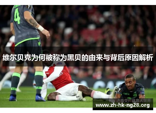 维尔贝克为何被称为黑贝的由来与背后原因解析